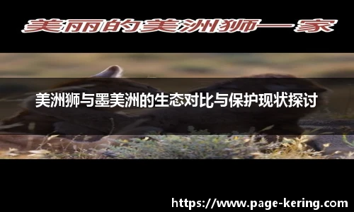 美洲狮与墨美洲的生态对比与保护现状探讨