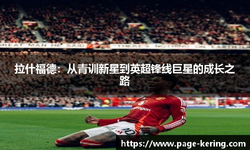 开云app
