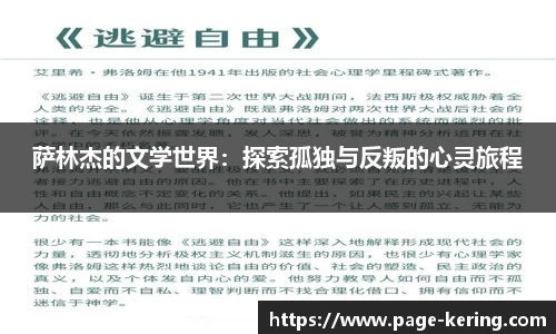 开云app